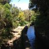 Petit canal bordant un chemin